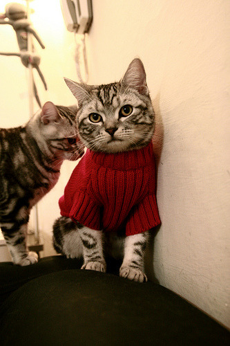 NBA赛季三分球命中率趋势,nba赛季三分球命中率趋势是什么